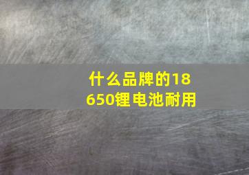 什么品牌的18650锂电池耐用