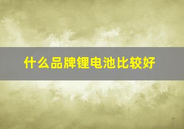 什么品牌锂电池比较好