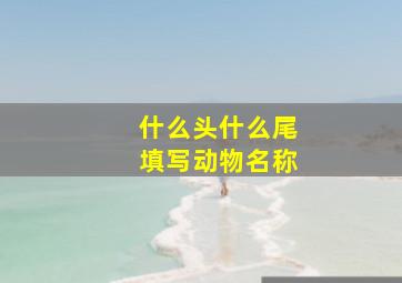 什么头什么尾填写动物名称