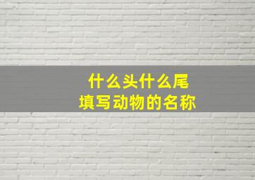 什么头什么尾填写动物的名称