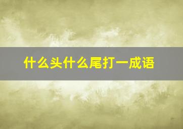 什么头什么尾打一成语