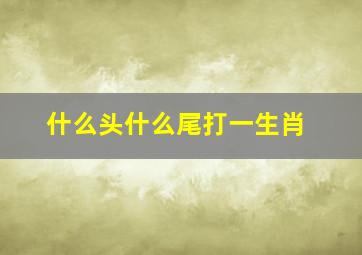 什么头什么尾打一生肖