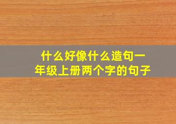 什么好像什么造句一年级上册两个字的句子