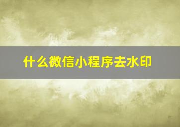 什么微信小程序去水印