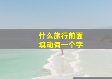 什么旅行前面填动词一个字