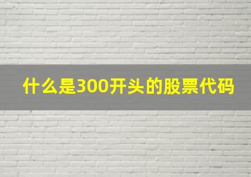 什么是300开头的股票代码