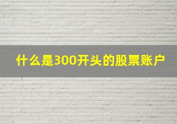 什么是300开头的股票账户