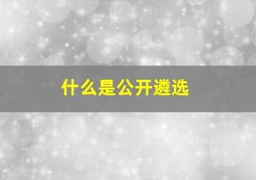 什么是公开遴选