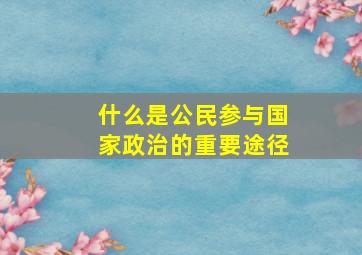 什么是公民参与国家政治的重要途径