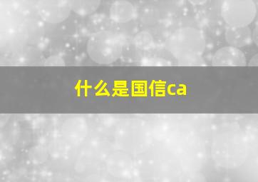 什么是国信ca