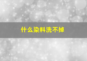 什么染料洗不掉