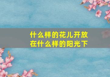 什么样的花儿开放在什么样的阳光下