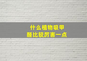 什么植物吸甲醛比较厉害一点