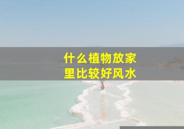 什么植物放家里比较好风水