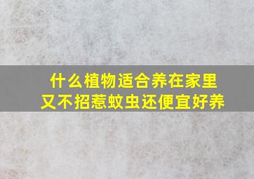 什么植物适合养在家里又不招惹蚊虫还便宜好养