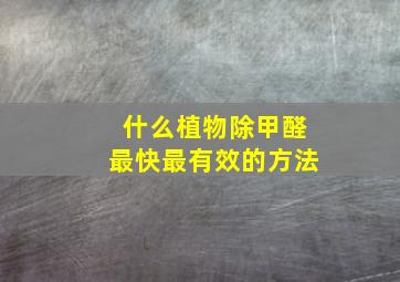 什么植物除甲醛最快最有效的方法