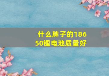 什么牌子的18650锂电池质量好