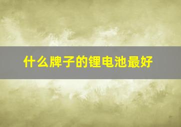 什么牌子的锂电池最好