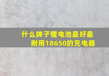 什么牌子锂电池最好最耐用18650的充电器