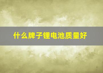 什么牌子锂电池质量好