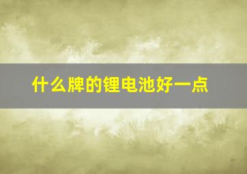 什么牌的锂电池好一点