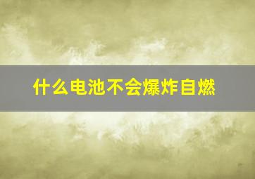 什么电池不会爆炸自燃