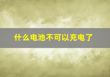 什么电池不可以充电了