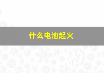 什么电池起火