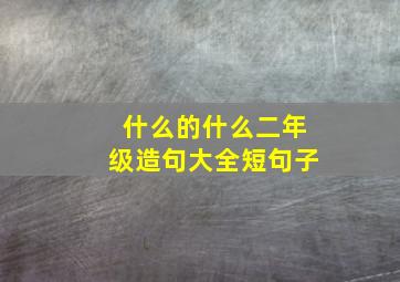 什么的什么二年级造句大全短句子