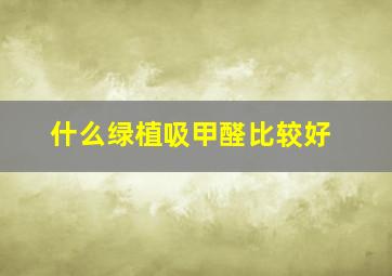 什么绿植吸甲醛比较好