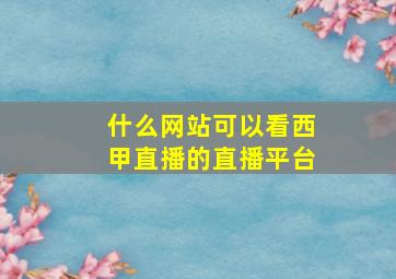 什么网站可以看西甲直播的直播平台