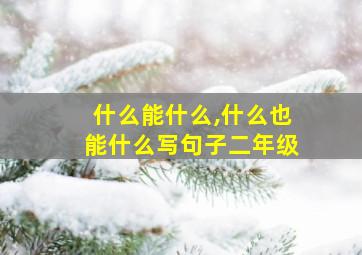 什么能什么,什么也能什么写句子二年级