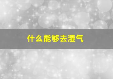 什么能够去湿气