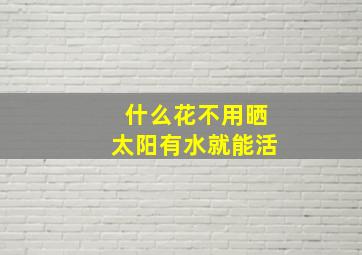 什么花不用晒太阳有水就能活