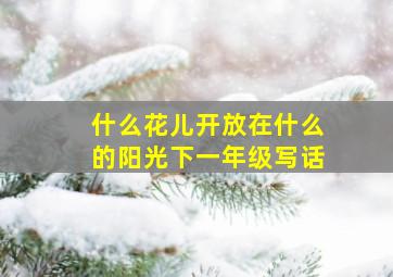 什么花儿开放在什么的阳光下一年级写话