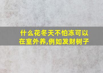 什么花冬天不怕冻可以在室外养,例如发财树子