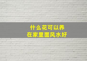 什么花可以养在家里面风水好