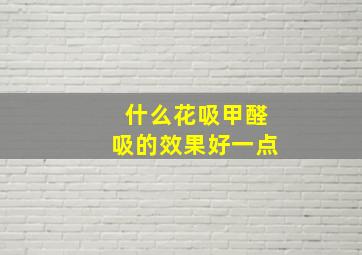 什么花吸甲醛吸的效果好一点