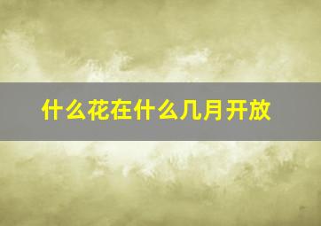 什么花在什么几月开放