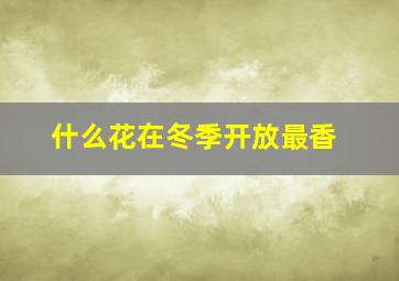 什么花在冬季开放最香