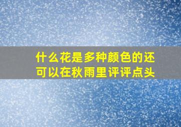 什么花是多种颜色的还可以在秋雨里评评点头