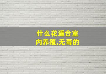 什么花适合室内养殖,无毒的