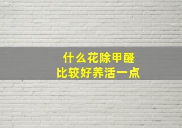 什么花除甲醛比较好养活一点