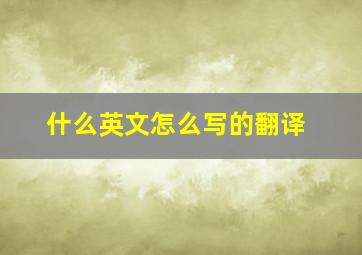 什么英文怎么写的翻译