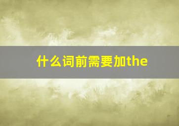 什么词前需要加the