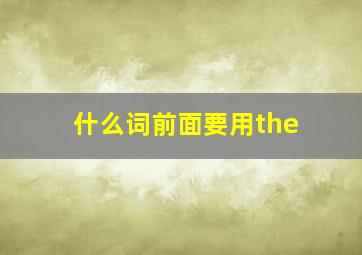 什么词前面要用the