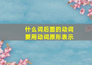 什么词后面的动词要用动词原形表示