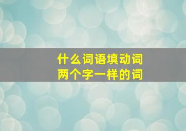 什么词语填动词两个字一样的词