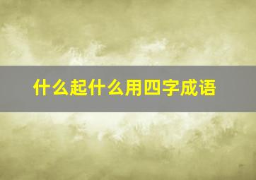 什么起什么用四字成语