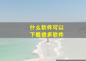 什么软件可以下载很多软件